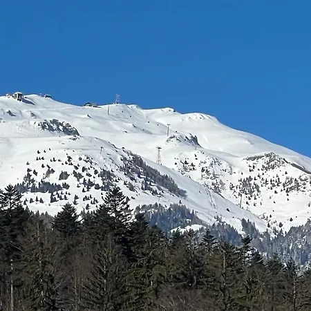 Coca Mountain View