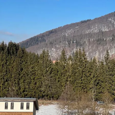 Coca Mountain View *