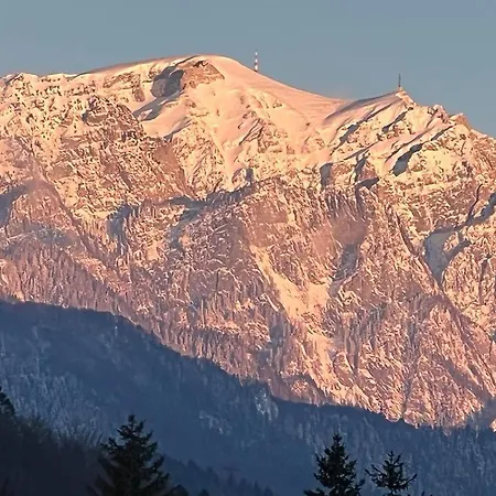 Coca Mountain View Apartment Sinaia