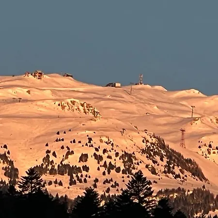 Coca Mountain View *