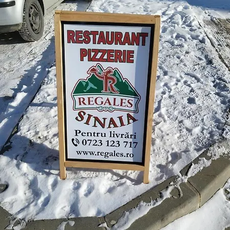 Coca Mountain View Apartment Sinaia